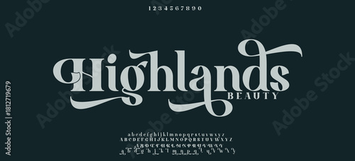 Elegant Font Uppercase Lowercase and Number. Classic Lettering Minimal Fashion Designs. Typography modern serif fonts regular decorative vintage concept. vector illustration.