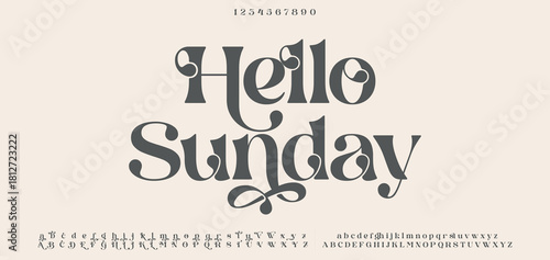 Typography beauty fashion elegant minimalist serif italic fonts decorative wedding vintage retro logos. Minimal luxury font alphabet logo. Vector illustration