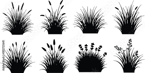 Set of black silhouette grass plants vector illustration simple natural design elements