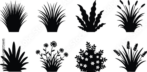 Set of eight different grass and flower silhouettes vector simple nature elements collection