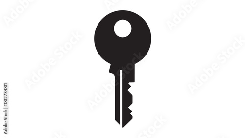 Simple key icon flat vector glyph illustration isolated on white background for security and access control