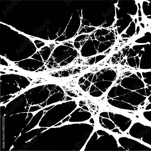 Abstract black and white network web texture pattern design vector background illustration graphic art