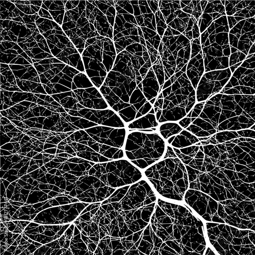 White abstract tree branches veins network on black background nature design pattern texture wallpaper graphic art