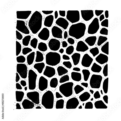 Abstract black and white organic cells pattern background design vector illustration art graphic image