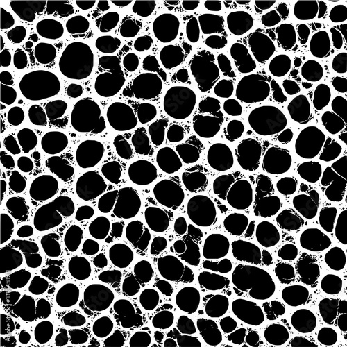 Black and white organic cell structure pattern background vector illustration abstract design texture graphic art