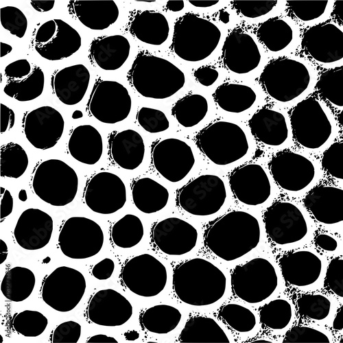Black and white abstract organic cell structure pattern background vector illustration design art image