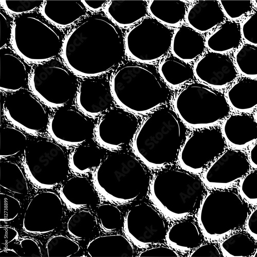 Black and white abstract organic cell structure pattern background vector illustration design art