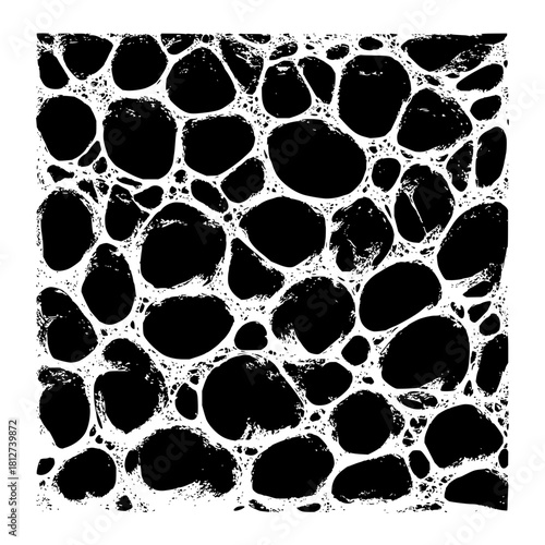 Black and white abstract organic cell pattern texture background vector illustration design element art