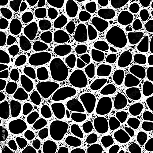 Abstract organic network pattern black and white cellular structure interconnected web design background art vector