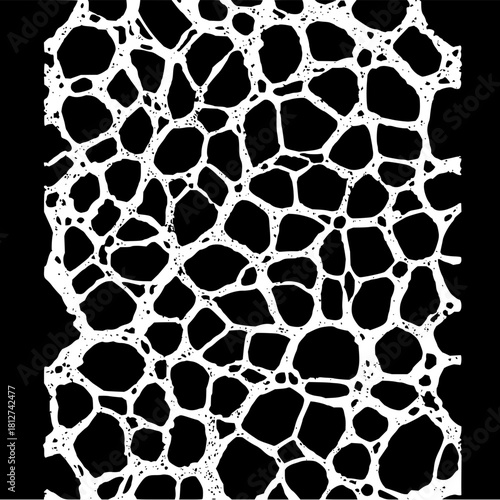 Abstract organic cell structure network pattern background black and white design vector illustration