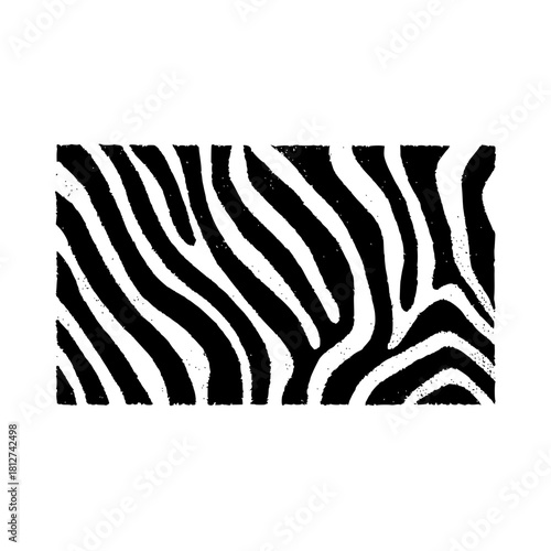 Zebra stripes pattern black and white animal print background safari wild nature seamless texture design art