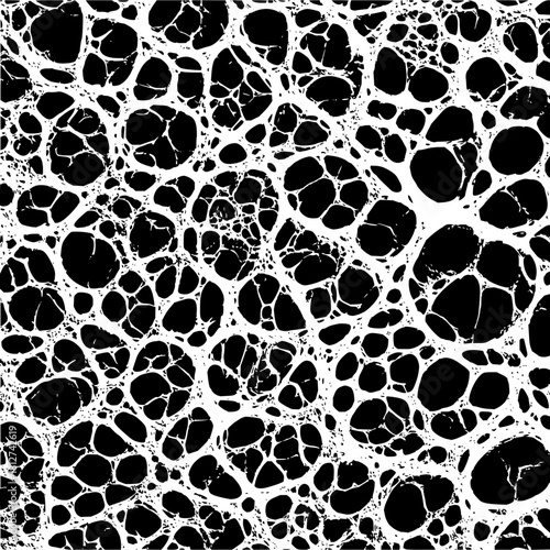 Black and white abstract organic cell structure pattern texture background design illustration surface art graphic 100