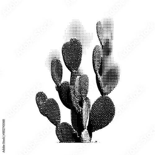 Black and white cactus halftone pattern desert plant botanical illustration nature art prickly pear graphic design