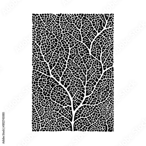 Abstract tree branch pattern vector design, black and white nature inspired organic background illustration art