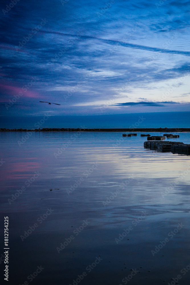 Fototapeta premium Blue hour waterfront with dramatic clouds and flying bird