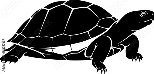 turtle side view silhouette on white background vector illustration
