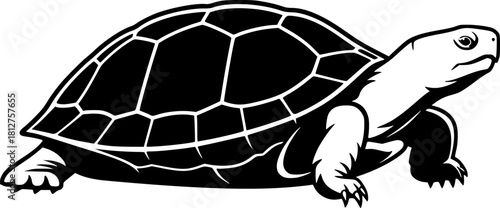 turtle side view silhouette on white background vector illustration
