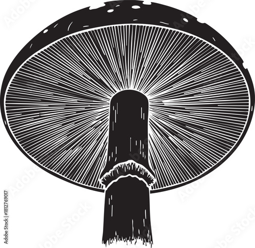 Detailed black and white silhouette of a mushroom cap underside isolated on transparent background