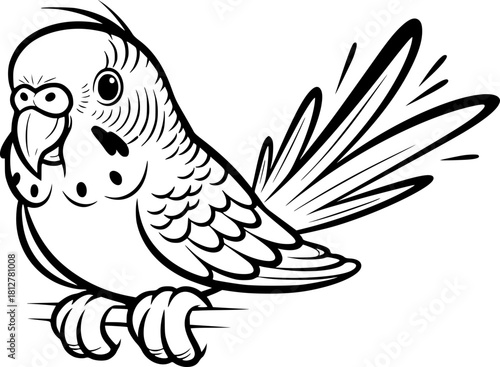 Cartoon budgerigar bird perched on branch in linear style  