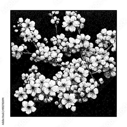 Detailed stippled illustration of a flowering branch against a dark speckled background in black and white