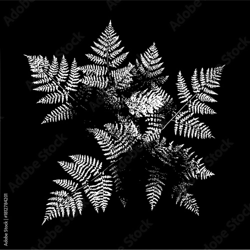 Monochrome arrangement of white fern fronds radiating from the center on a black background design element