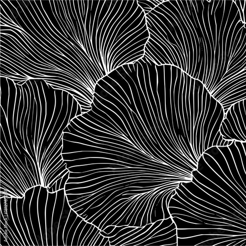 Abstract monochrome floral pattern with white lines forming petal shapes on a black background art