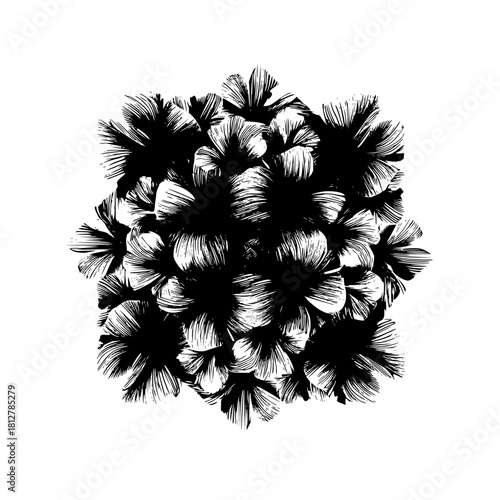 Illustration of a dense cluster of stylized flowers with textured petals in black and white design