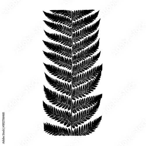 Detailed black and white illustration of a fern frond with intricate leaf patterns and symmetrical design