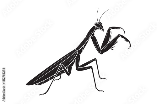 Detailed silhouette illustration of a praying mantis