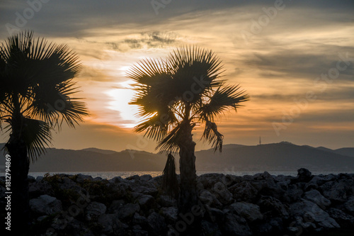 Fototapeta Naklejka Na Ścianę i Meble -  Silhouette of palm trees at dusk during sunset on the Adriatic Sea coast in Croatia