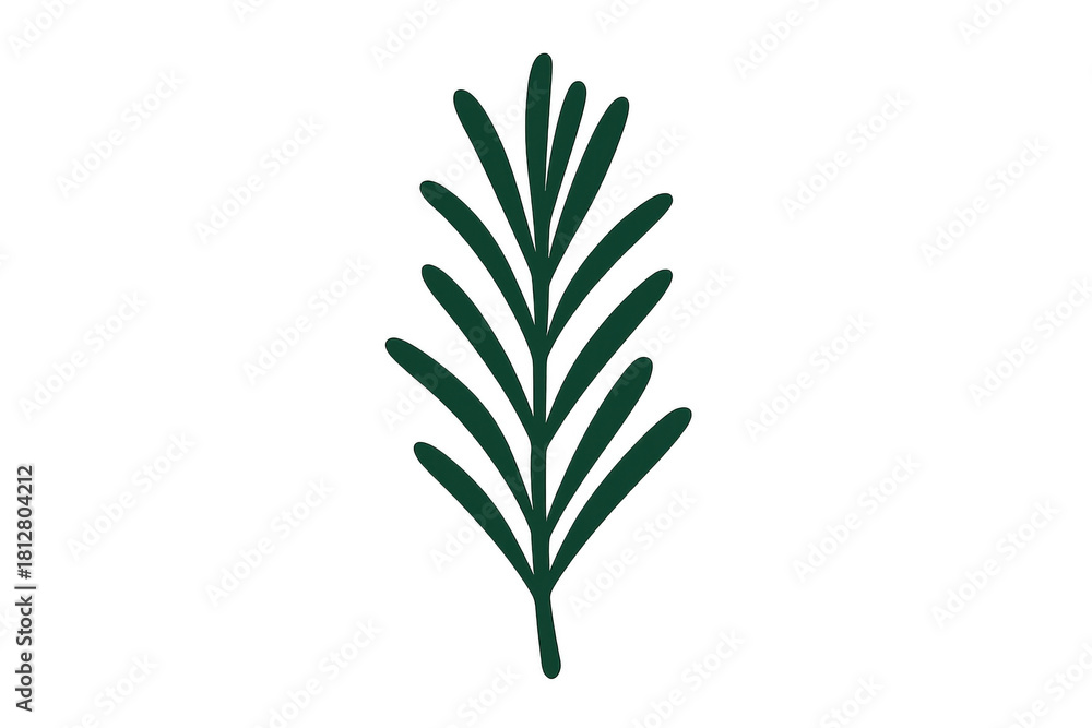 Fototapeta premium Green botanical leaf sprig illustration. Minimalist natural plant drawing, simple organic design with transparent background