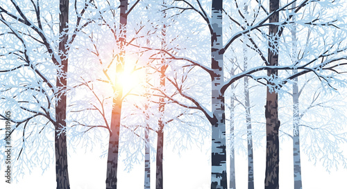 Winter birch forest illustration with sun shining through trees.
