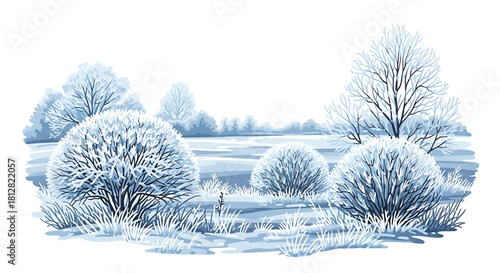 Snowy winter landscape featuring ice-covered trees and bushes on white background