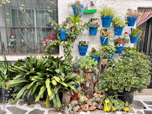 beautiful facade decoration of a house in a typical sothern Spain village with blue pots and plants