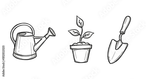 Gardening essentials: watering can, potted plant, and garden trowel in