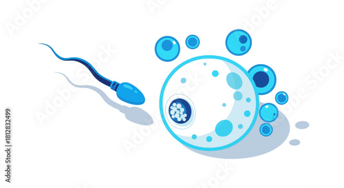 Sperm and egg cell in flat style with abstract blue bubbles