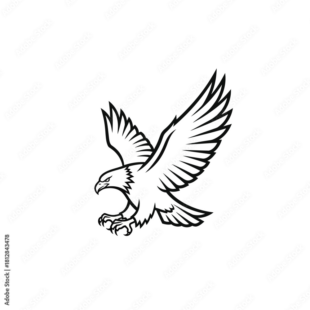 Obraz premium Black and white line art illustration of a fierce bald eagle in flight with wings spread
