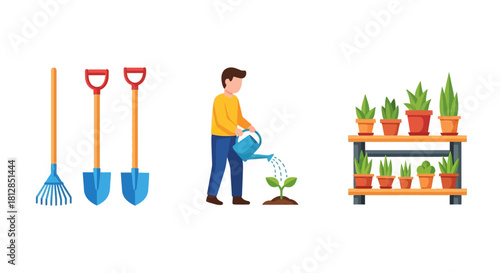 Gardening essentials: tools, watering, and plant care