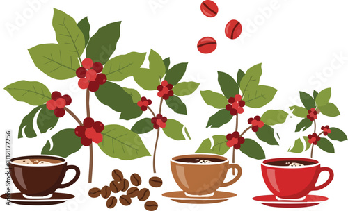 Coffee Plants & Cups Aromatic Morning Rituals Illustrated