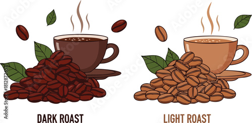 Dark Roast and Light Roast Coffee Beans with Cups Illustration