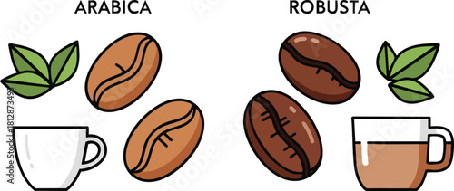 Arabica and Robusta Coffee Beans Illustration with Cups and Leaves
