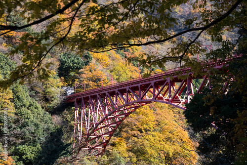 黒部峡谷鉄道トロッコ電車の新山彦橋の橋梁