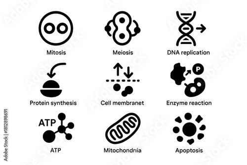 Biology icons: mitosis, meiosis, dna replication, and more in black silhouette style