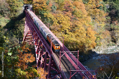 宇奈月温泉やまびこ展望台から見る 黒部峡谷鉄道のトロッコ電車