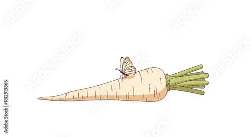 A Delicate Butterfly Rests Upon a Freshly Harvested Root Vegetable Illustration