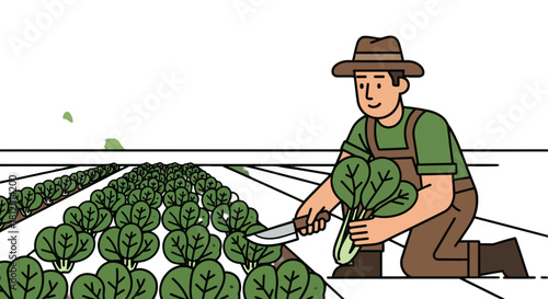 A Farmer Harvesting Greens In The Field At Dusk, Farming And Agriculture Theme