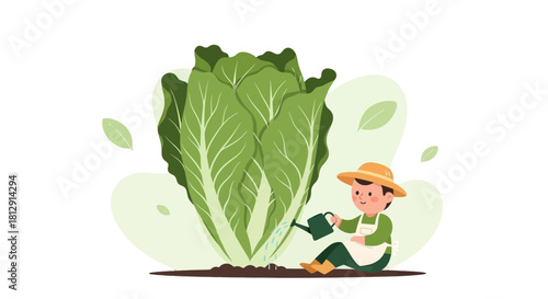 A Farmer Nurturing Lush Green Cabbage With Water Near Black Backdrop