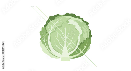A Fresh Cabbage Depicted Against a Black Backdrop in Clean and Modern Illustration