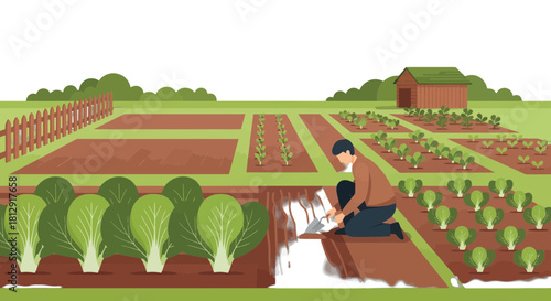 A Gardener Carefully Tending a Flourishing Vegetable Garden With Verdant Crops