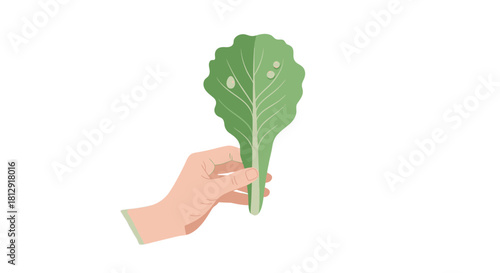 A Person's Hand Gently Holding a Fresh Leaf Against a Black Backdrop Illustration